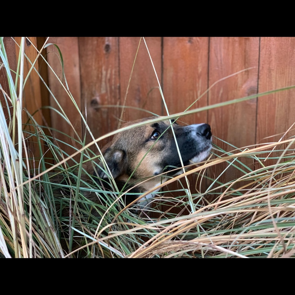 Meet your Posher, Gabrielle